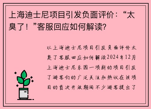 上海迪士尼项目引发负面评价：“太臭了！”客服回应如何解读？