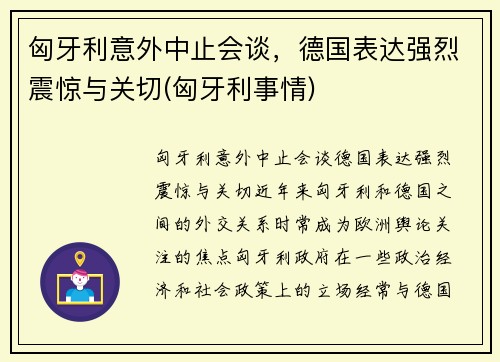 匈牙利意外中止会谈，德国表达强烈震惊与关切(匈牙利事情)
