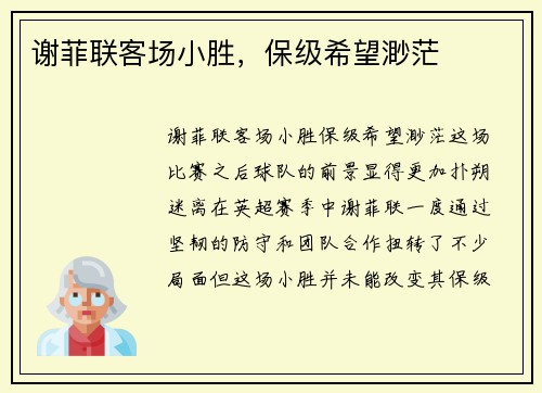 谢菲联客场小胜，保级希望渺茫